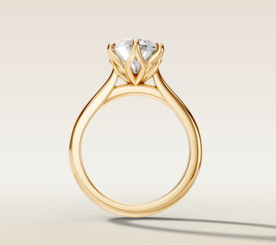 Marquise underneath