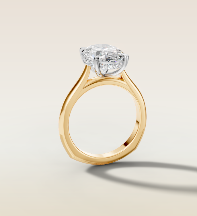 Vikram & Melissa's Custom Ring