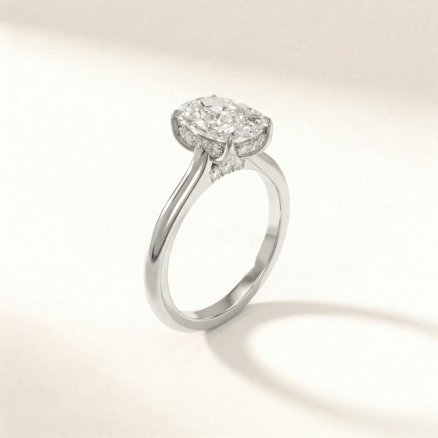 Cushion Tulip Four Petal