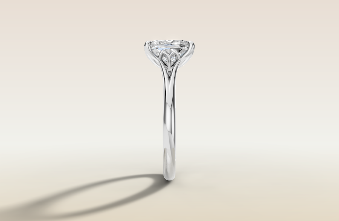 Cushion Tulip with Diamond Petals