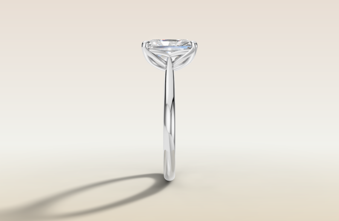 Radiant Tulip Curved Gallery Rail