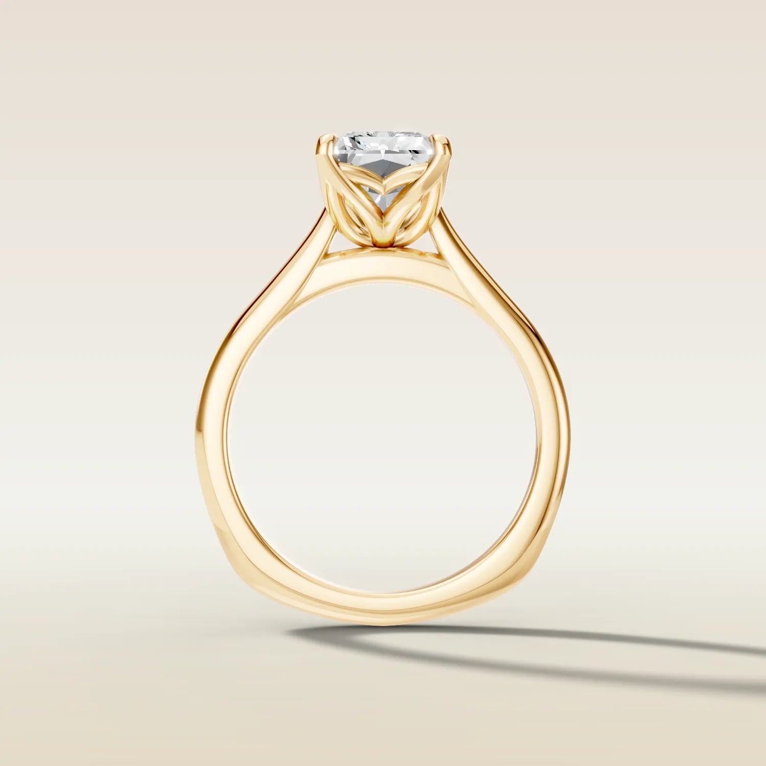 Radiant Tulip Curved Gallery Rail