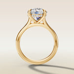 Round Hidden Halo Cathedral engagement ring in yellow gold, front view