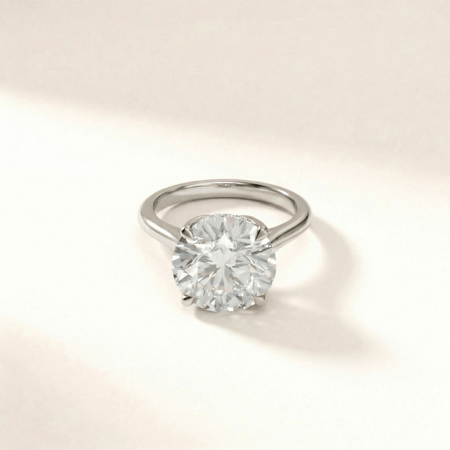 Tulip with Hidden Halo