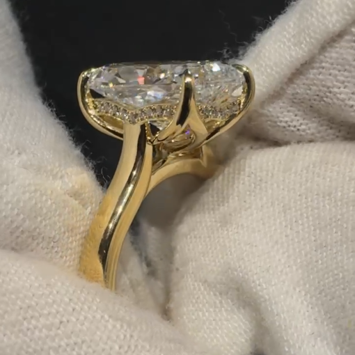 Maxime's Custom Ring