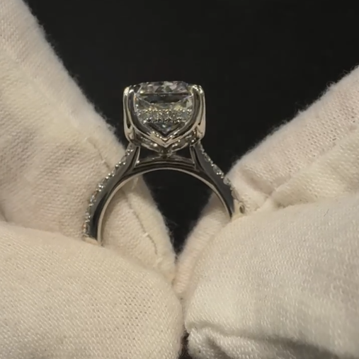 Carlos' Custom Ring