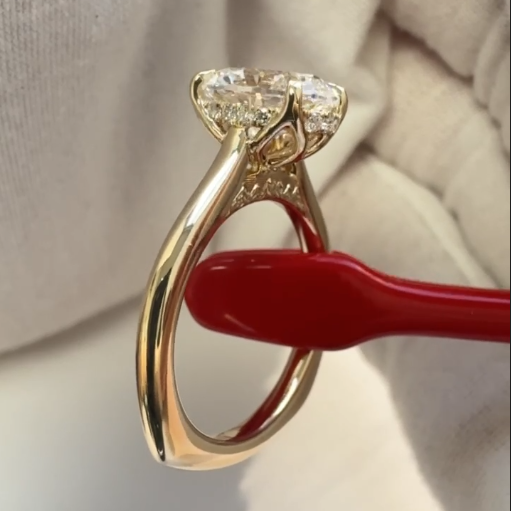 Alex's Custom Ring