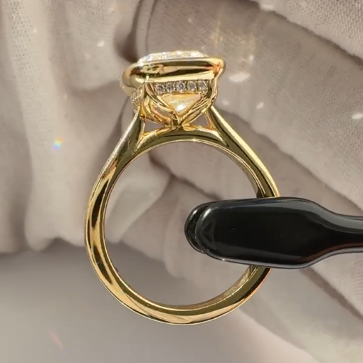 Cameron & Sophia's Custom Ring