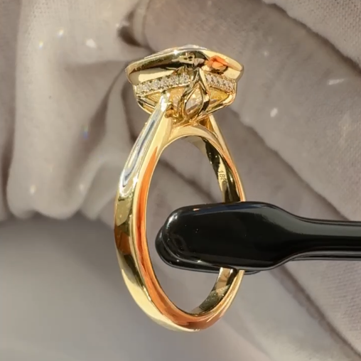 Cameron & Sophia's Custom Ring