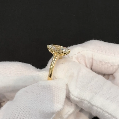 Shankave’s Custom Ring