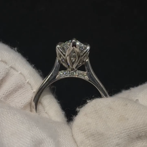 Vinay’s Custom Ring