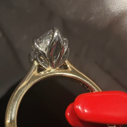 Jake & Kaitlyn's Custom Ring