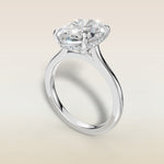Oval Hidden Halo Cathedral engagement ring in white gold, angled view