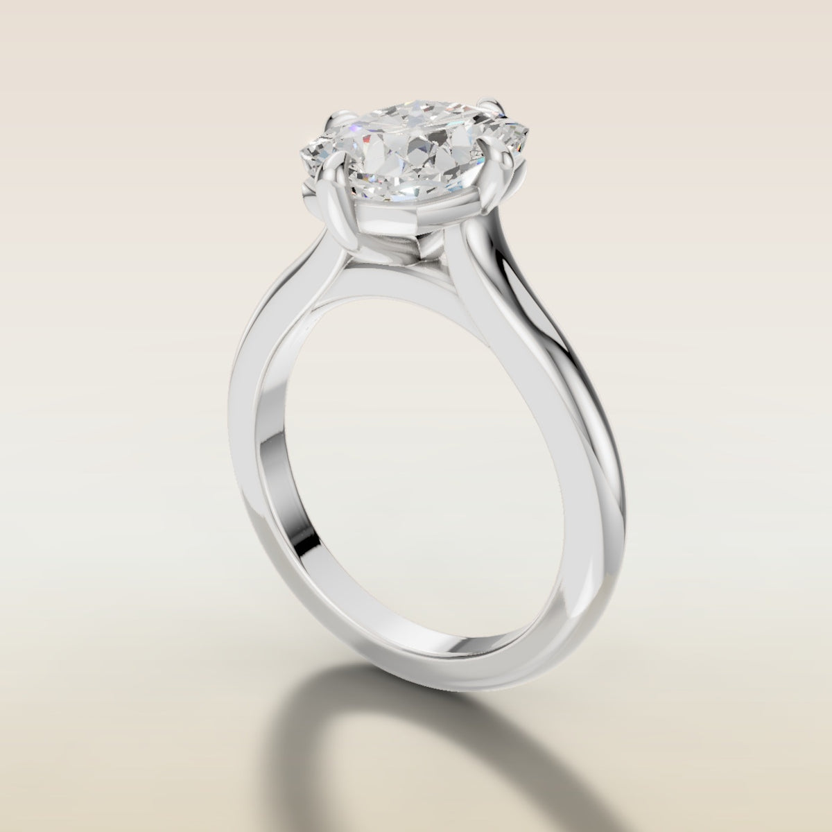 Cushion Compass Cathedral engagement ring in white gold, angled side view