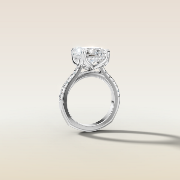 The 3D render