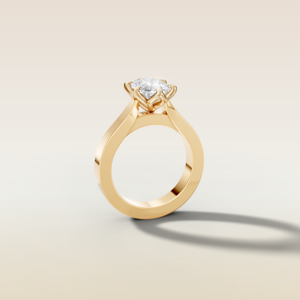The 3D render
