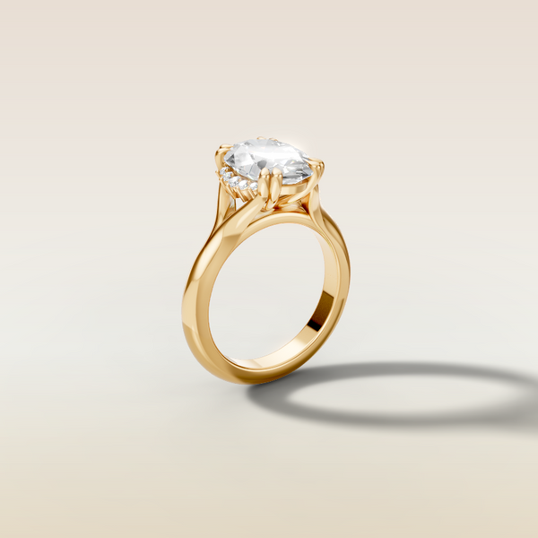 The 3D render