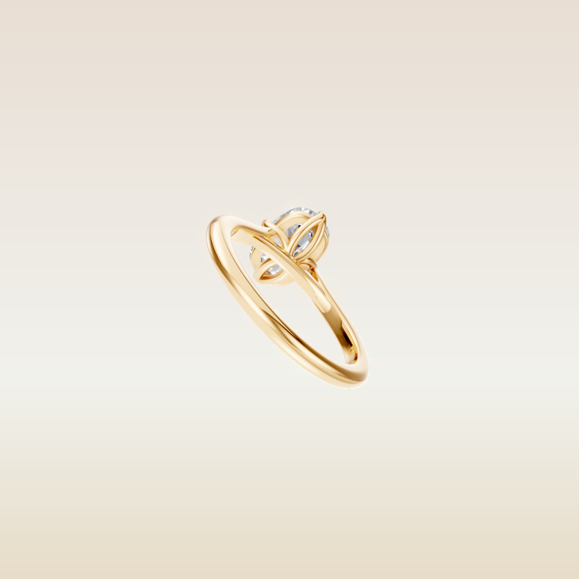 Matthew’s Custom Ring