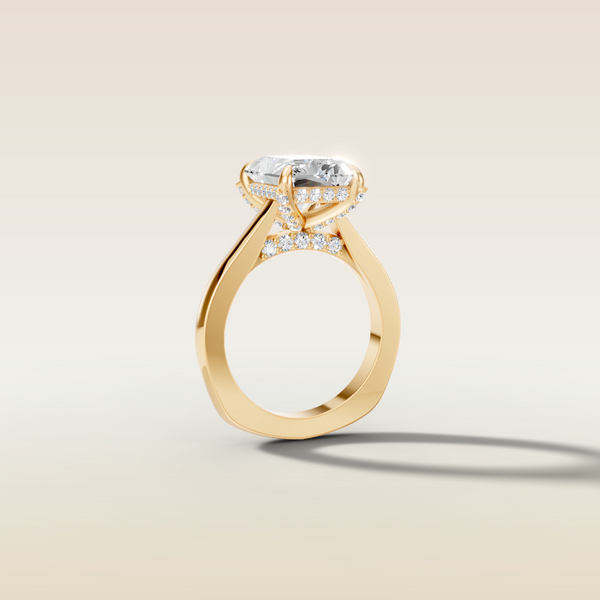 The 3D render
