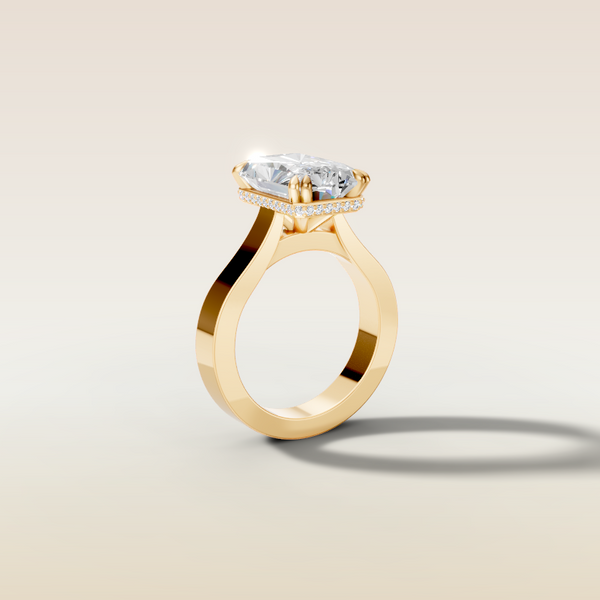 The 3D render
