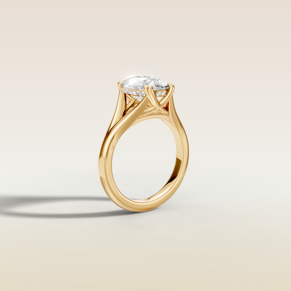 The 3D render