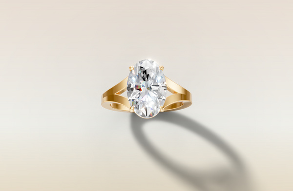 The 3D render
