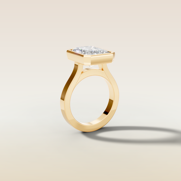 The 3D render