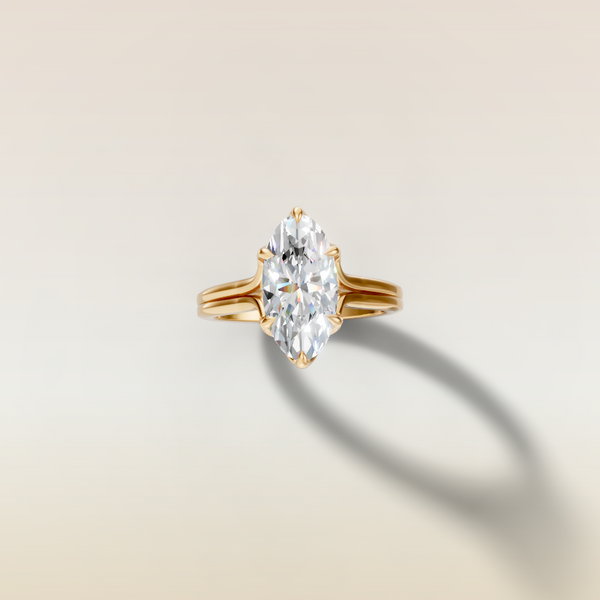 The 3D render
