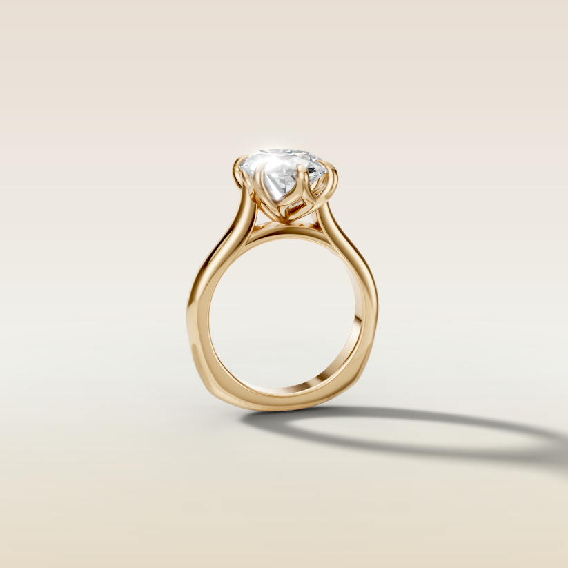 Ashley's Custom Ring