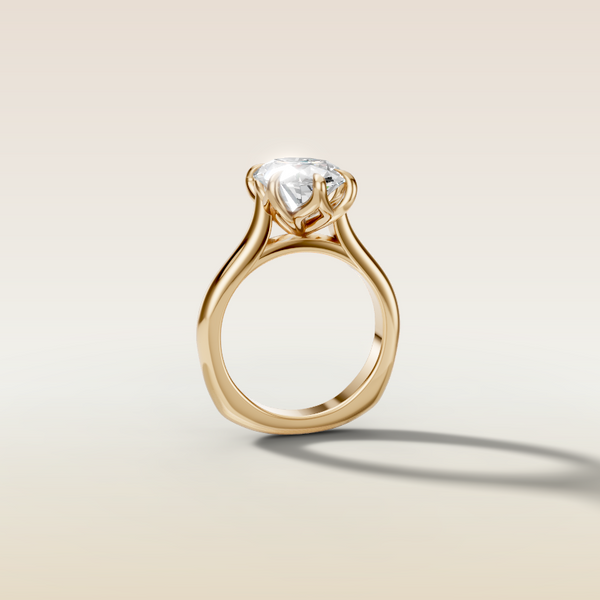 The 3D render