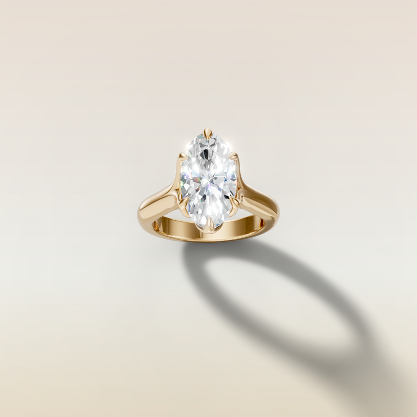 Anand's Custom Ring