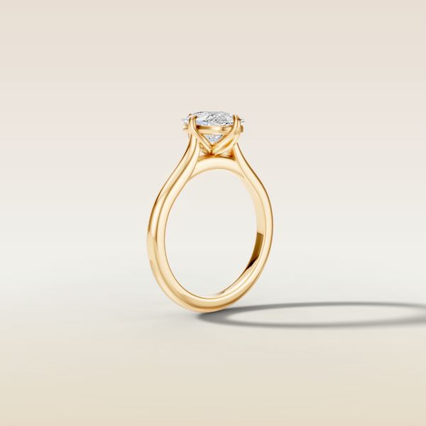 The 3D render