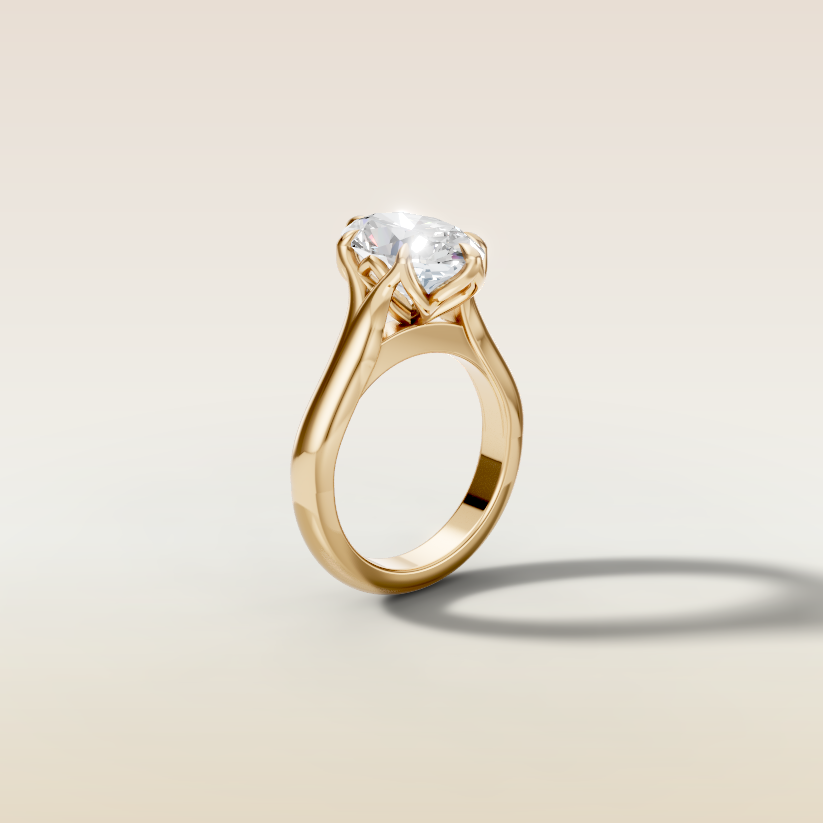 Anand's Custom Ring