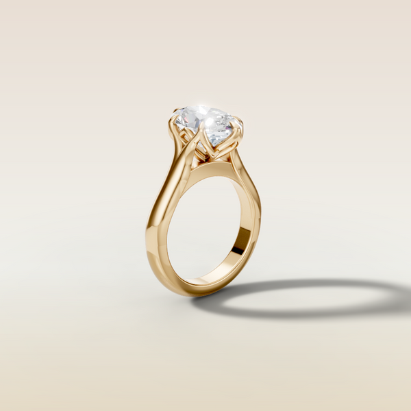 The 3D render