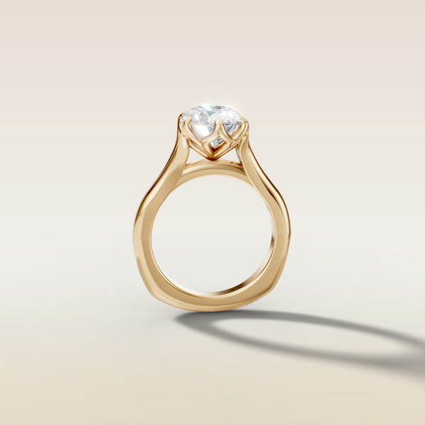 The 3D render