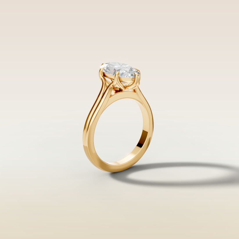 Shankave’s Custom Ring