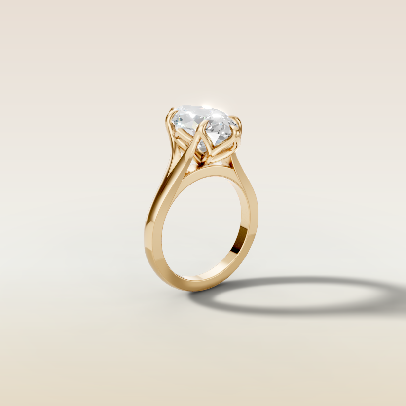 Megan’s & Reid Custom Ring