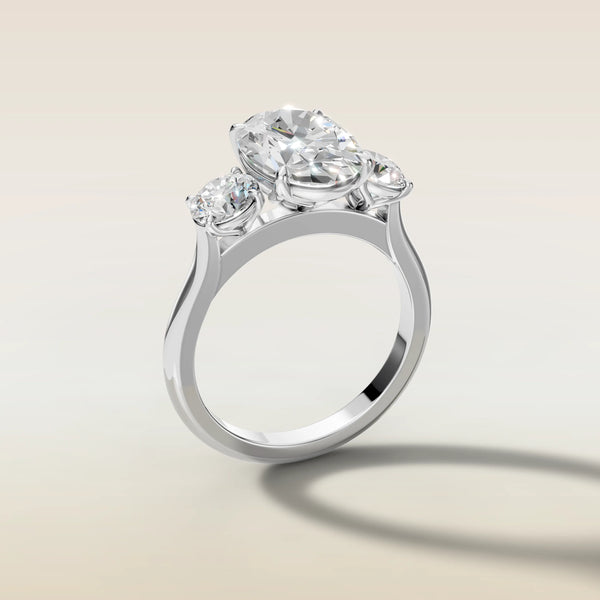 The 3D render