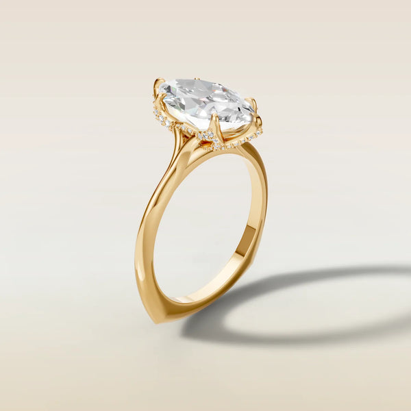 The 3D render