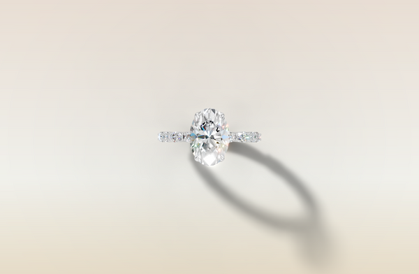 The 3D render