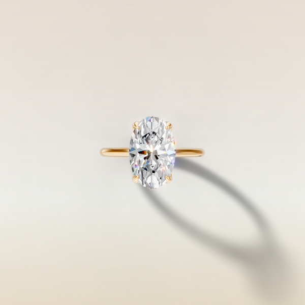 The 3D render
