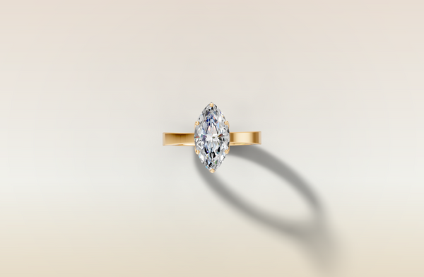 The 3D render