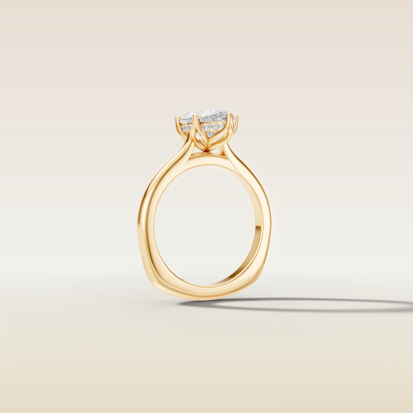 The 3D render