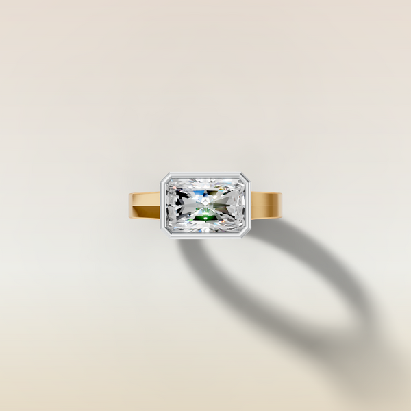The 3D render