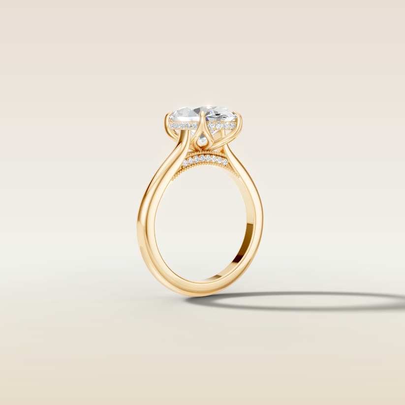 Van's Custom Ring